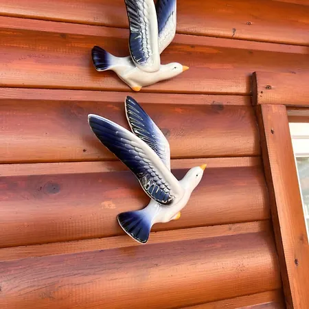 Bord De Chalet *