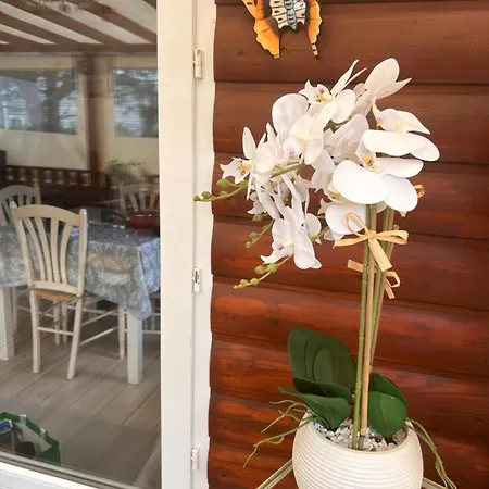 Chalet Bord De